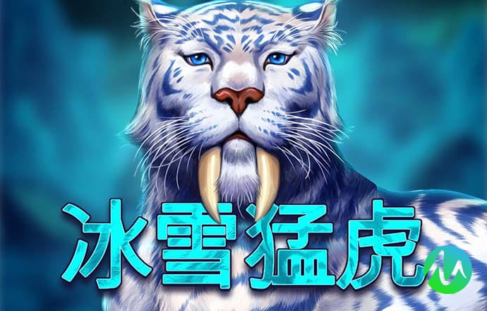 2024新澳门正版免费资木车